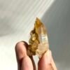 Himalayan Small Single Crystal with Golden Small Crystal Flowers  14M