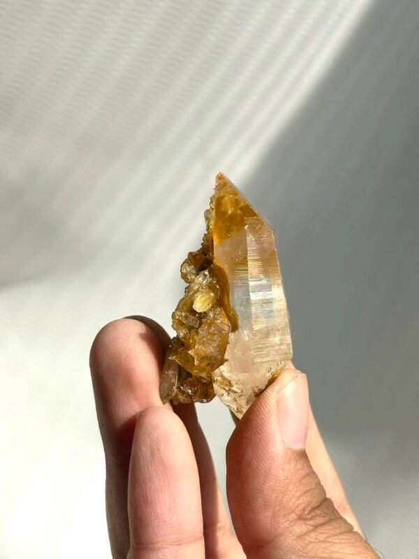 Himalayan Small Single Crystal with Golden Small Crystal Flowers  14M