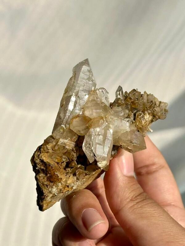 Himalayan Crystal Blossom Cluster with Mica Sparkle Matrix  15L