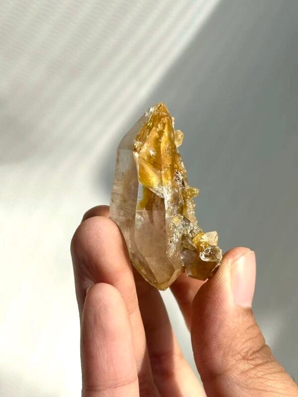 Himalayan Small Single Crystal with Golden Small Crystal Flowers  14M