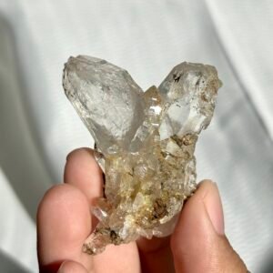 Twin Himalayan Crystal with Interference Patterns and Siderite Symbiosis 11G