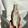 Burmese Petrified Wood Jade  11J