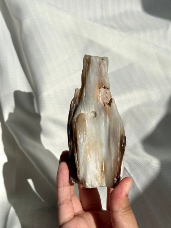 Burmese Petrified Wood Jade  11J