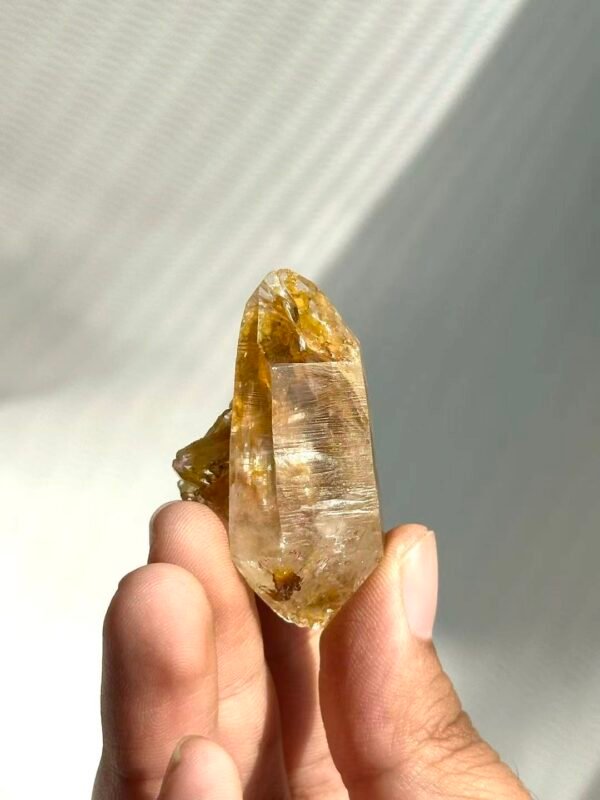 Himalayan Small Single Crystal with Golden Small Crystal Flowers  14M