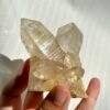 27c5e5fc5fdcb38e0cc8ea381e4c1cfe Twin Twisted Champagne Himalayan Crystal Small Ornaments 10K