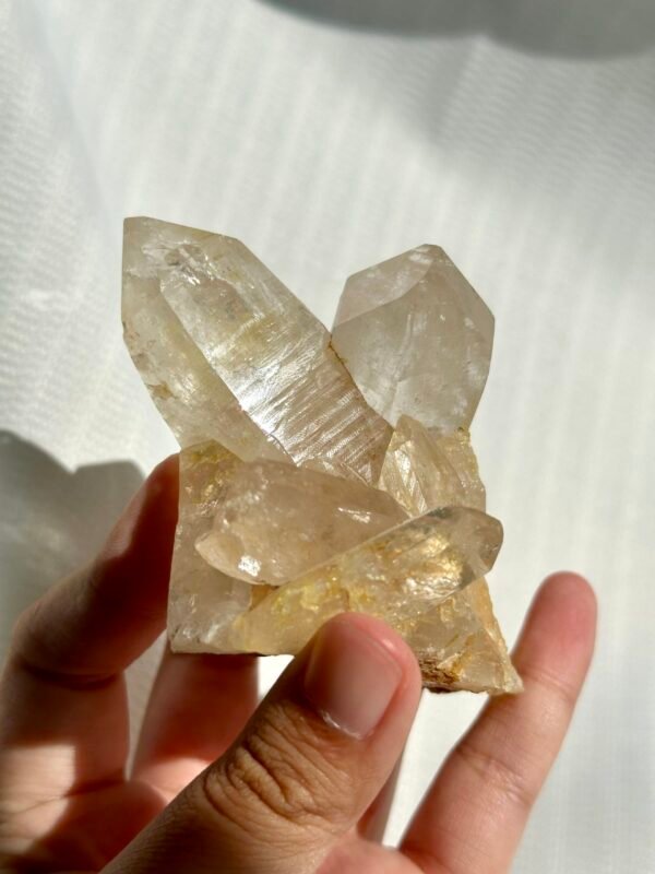 27c5e5fc5fdcb38e0cc8ea381e4c1cfe Twin Twisted Champagne Himalayan Crystal Small Ornaments 10K