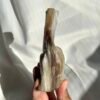 Burmese Petrified Wood Jade  11J
