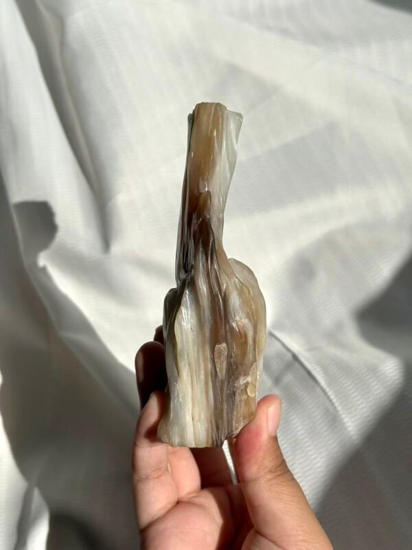 Burmese Petrified Wood Jade  11J