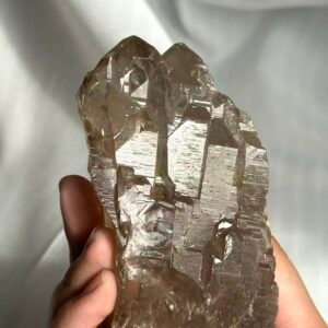 Nepalese Gray-Tea Circuit Board Himalayan Large Palm Stone  12D