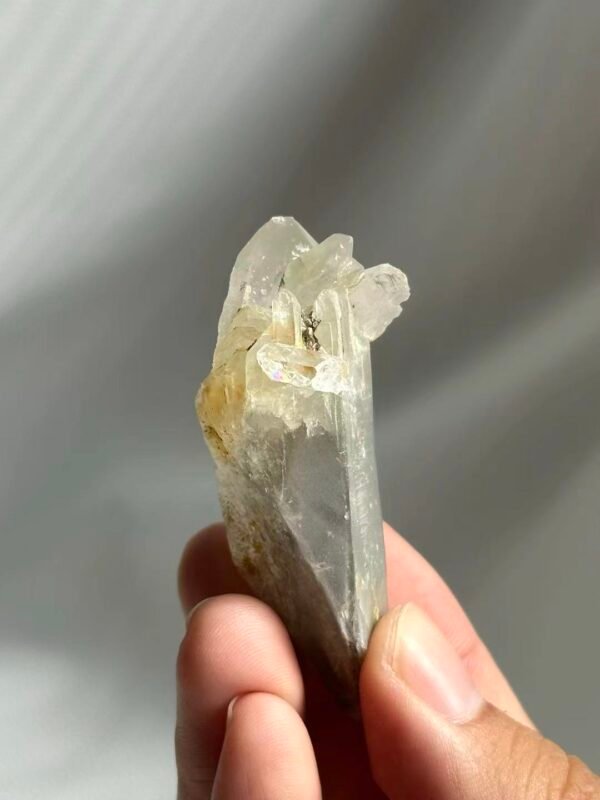 Gray Phantom Himalayan Small Single Crystal  13F