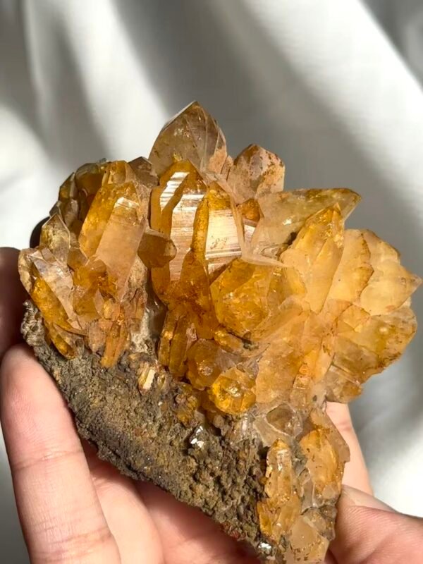 Deep Golden Himalayan Crystal Cluster with Druse Base 12C