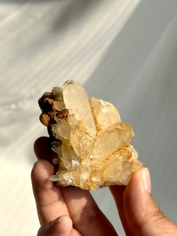 Champagne-Hued Himalayan Crystal Cluster with Siderite Intergrowth  15J