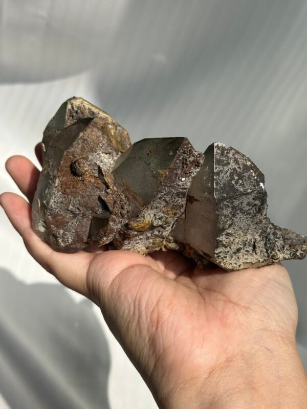 Black and gray Himalayan crystal cluster  09D