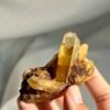 Himalayan Tibetan Golden Crystal Cluster  13M