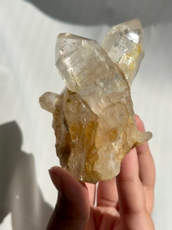 4d6d3cbf097d66272797e4b28d39350c Twin Twisted Champagne Himalayan Crystal Small Ornaments 10K