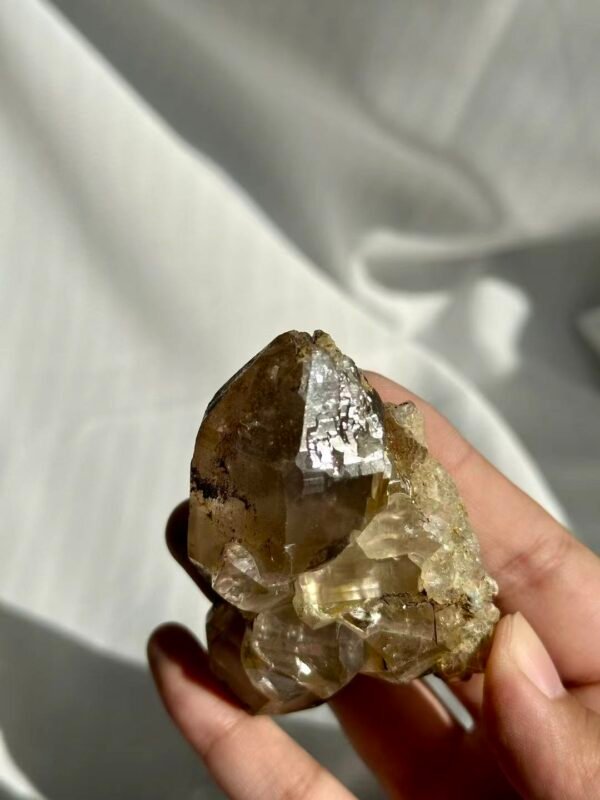 Tea-Brown Himalayan Polysynthetic Crystal with Symbiotic Siderite and Rutile  A03