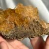 Deep Golden Himalayan Crystal Cluster with Druse Base 12C