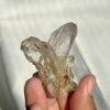 Twin Himalayan Crystal with Interference Patterns and Siderite Symbiosis 11G