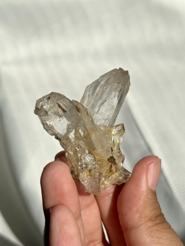 Twin Himalayan Crystal with Interference Patterns and Siderite Symbiosis 11G