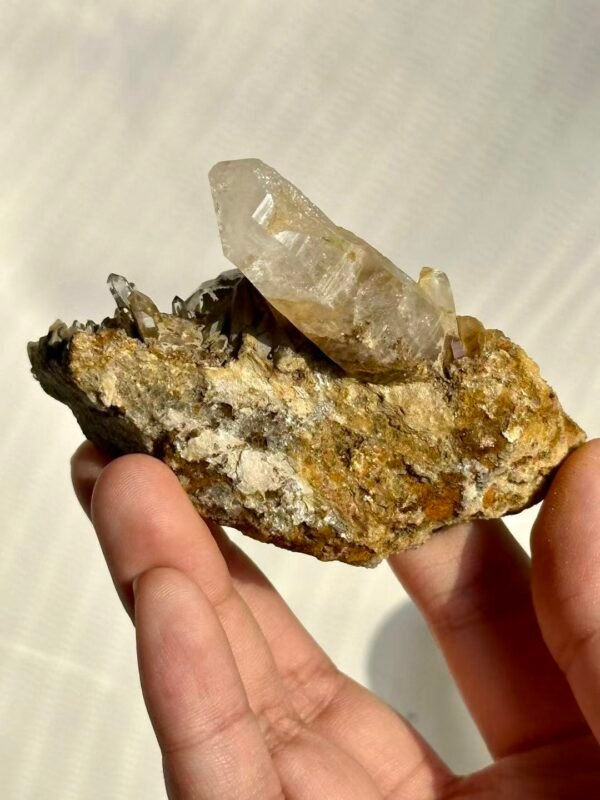 Himalayan Crystal Blossom Cluster with Mica Sparkle Matrix  15L