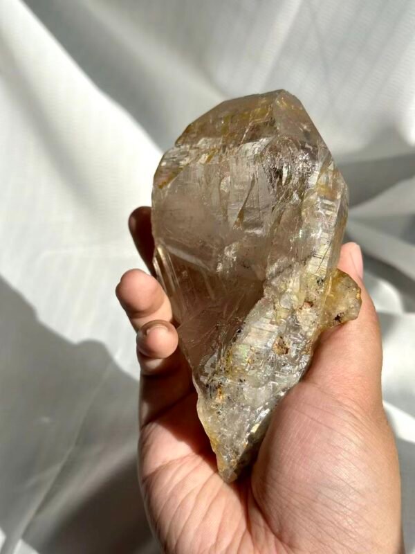 Himalayan Flat Crystal: Large Sutures, Transparent Circuit Board Patterns  13E