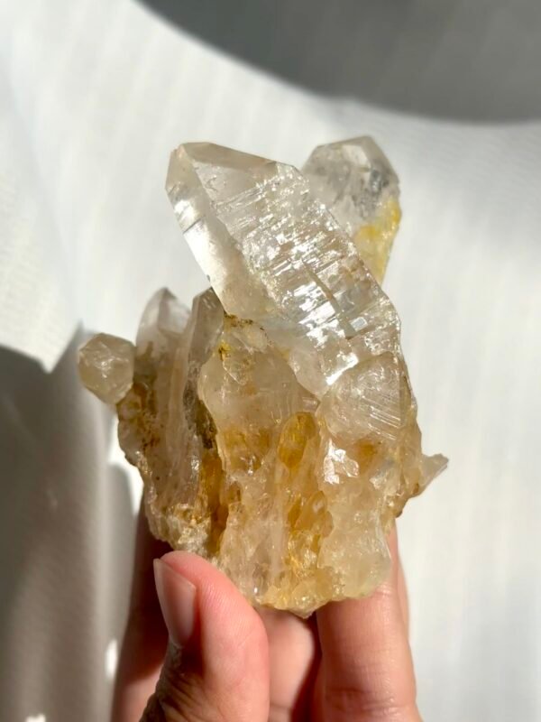 779ef039818da26da9a58a0c679b6e07 Twin Twisted Champagne Himalayan Crystal Small Ornaments 10K