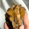 Deep Golden Himalayan Crystal Cluster with Druse Base 12C