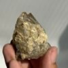 Light brown golden mica symbiotic Himalayan crystal 09L