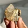 Tibetan Himalayan Crystal – Twisted Structure & Colorful Ore Rind 13N
