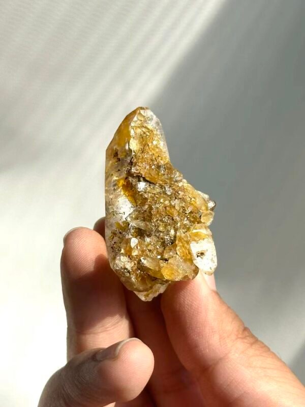 Himalayan Small Single Crystal with Golden Small Crystal Flowers  14M