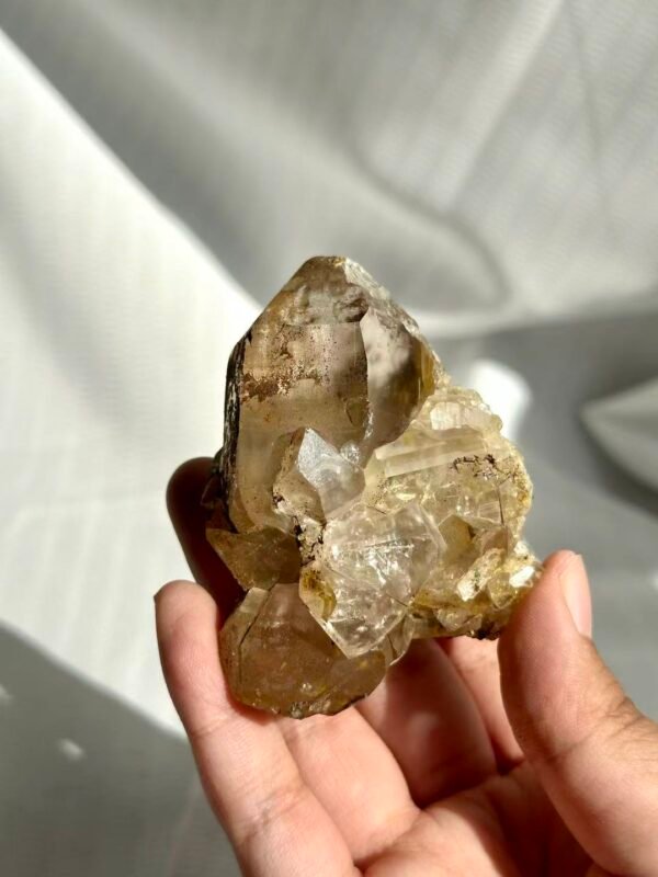 Tea-Brown Himalayan Polysynthetic Crystal with Symbiotic Siderite and Rutile  A03