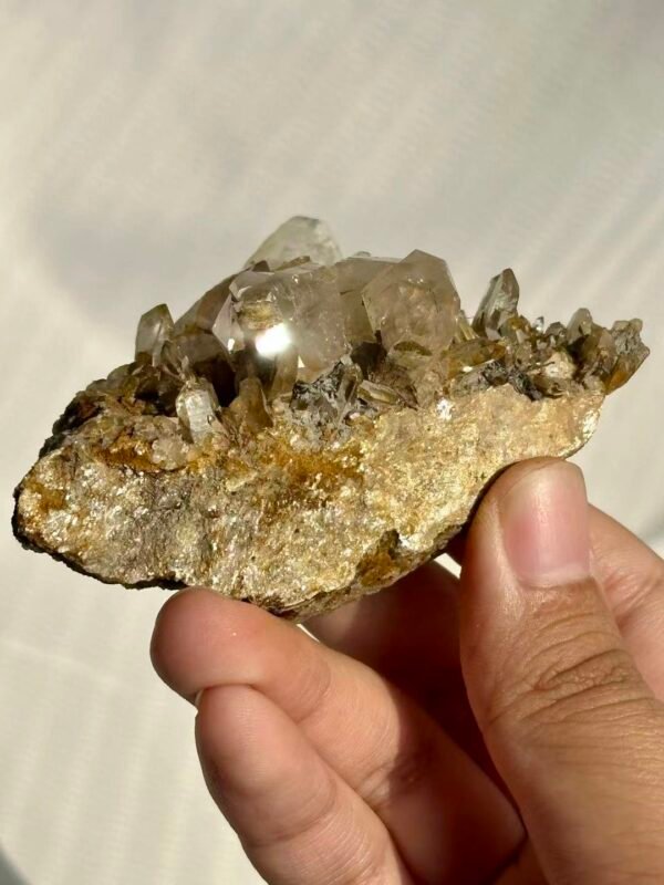 Himalayan Crystal Blossom Cluster with Mica Sparkle Matrix  15L