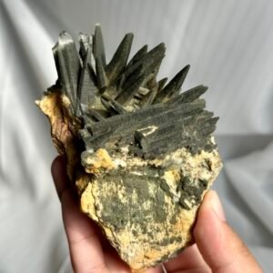 Nepalese Green Phantom Laser Wand Himalayan Crystal Cluster  12A