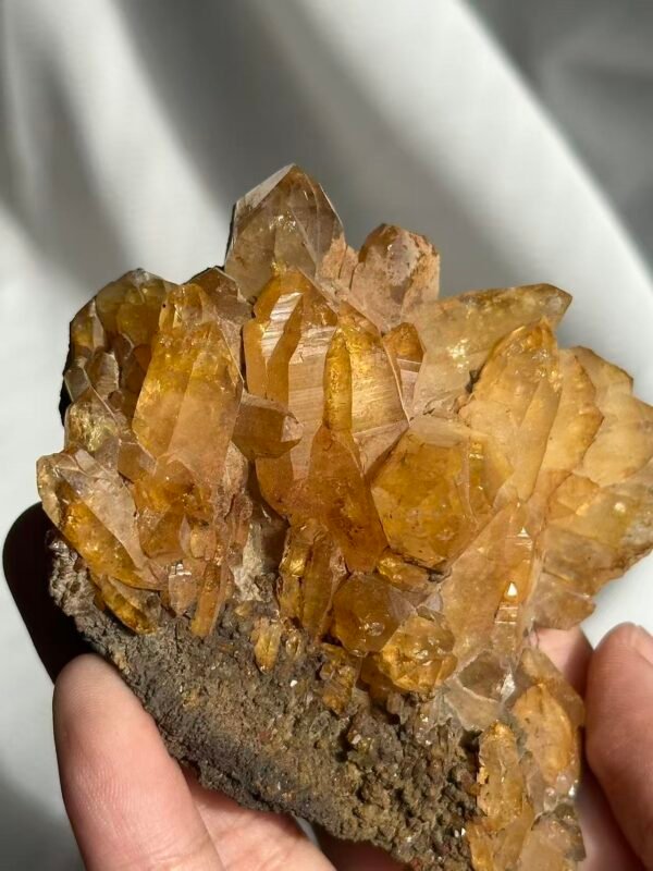 Deep Golden Himalayan Crystal Cluster with Druse Base 12C