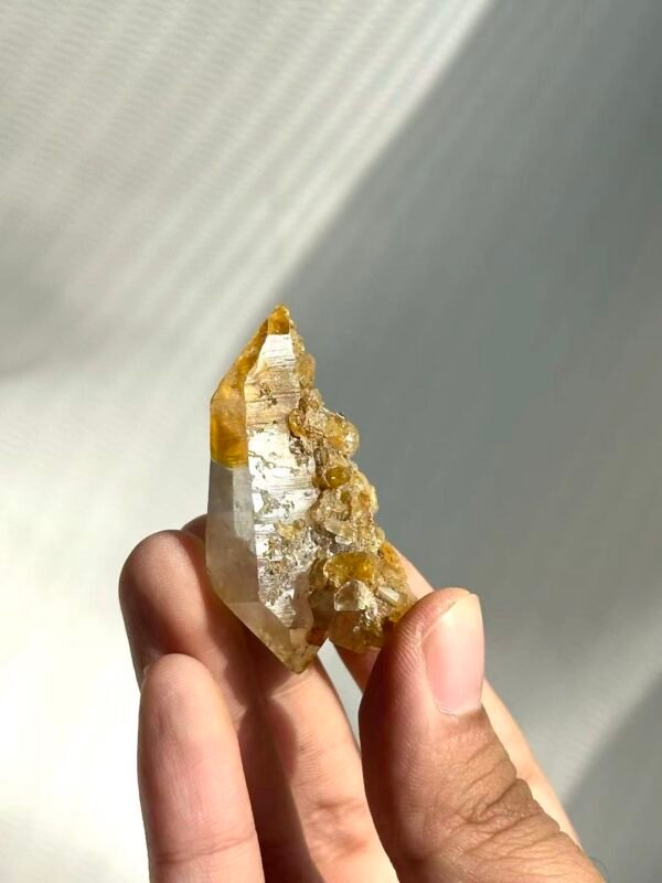 Himalayan Small Single Crystal with Golden Small Crystal Flowers  14M