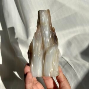 Burmese Petrified Wood Jade  11J