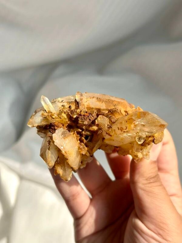 Tibetan Himalayan Crystal Cluster with Golden Suture Inclusions  13L