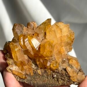 Deep Golden Himalayan Crystal Cluster with Druse Base 12C