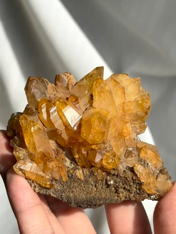 Deep Golden Himalayan Crystal Cluster with Druse Base 12C