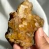 Deep Golden Himalayan Crystal Cluster with Druse Base 12C
