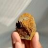 Tibetan Himalayan Small Single Crystal with Brown Ore Rind  14G