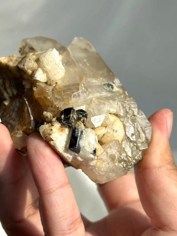 Himalayan Crystal Intergrown with Black Tourmaline & Albite - Medium Handheld Size  15G