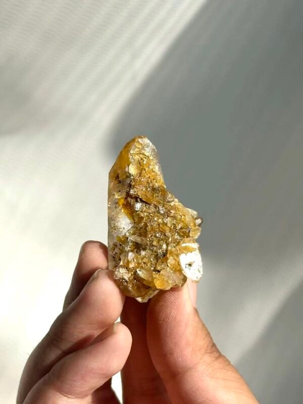 Himalayan Small Single Crystal with Golden Small Crystal Flowers  14M