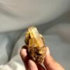 Himalayan Tibetan Golden Crystal Cluster  13M