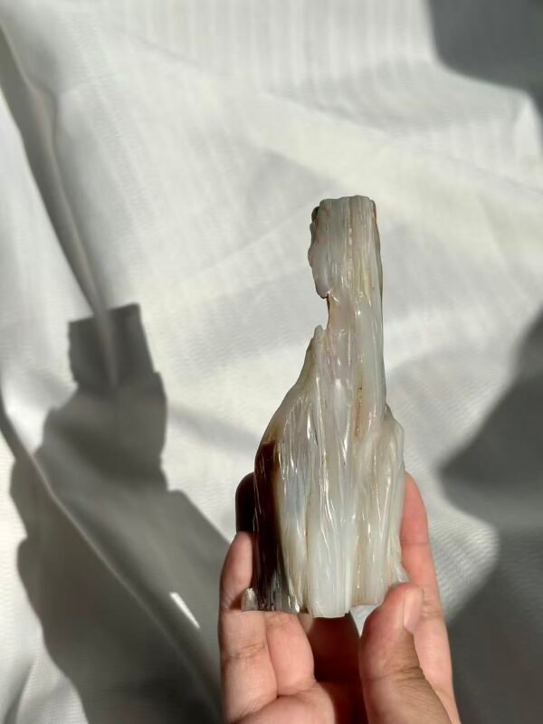 Burmese Petrified Wood Jade  11J